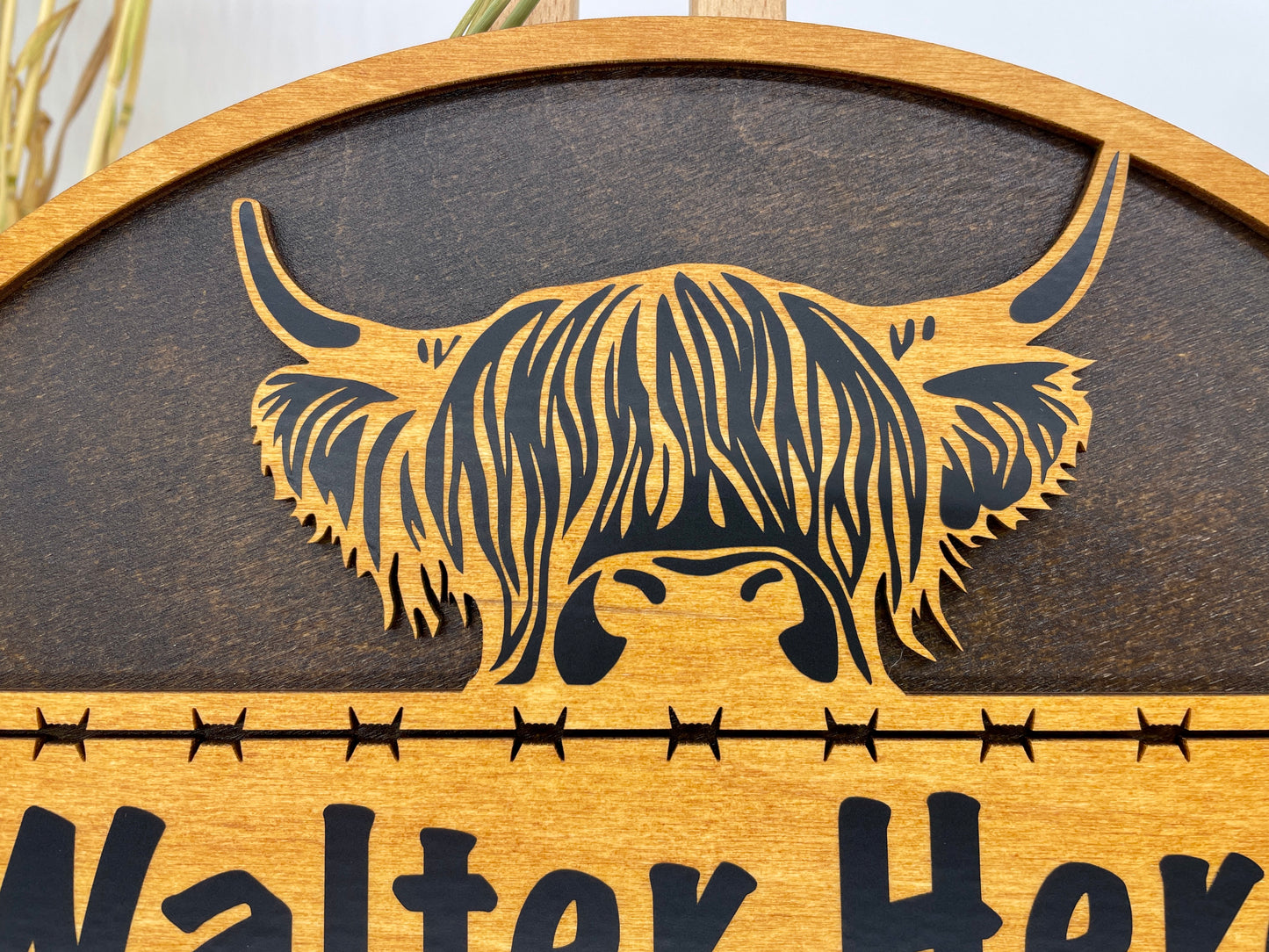 Highland Cow Family Tree